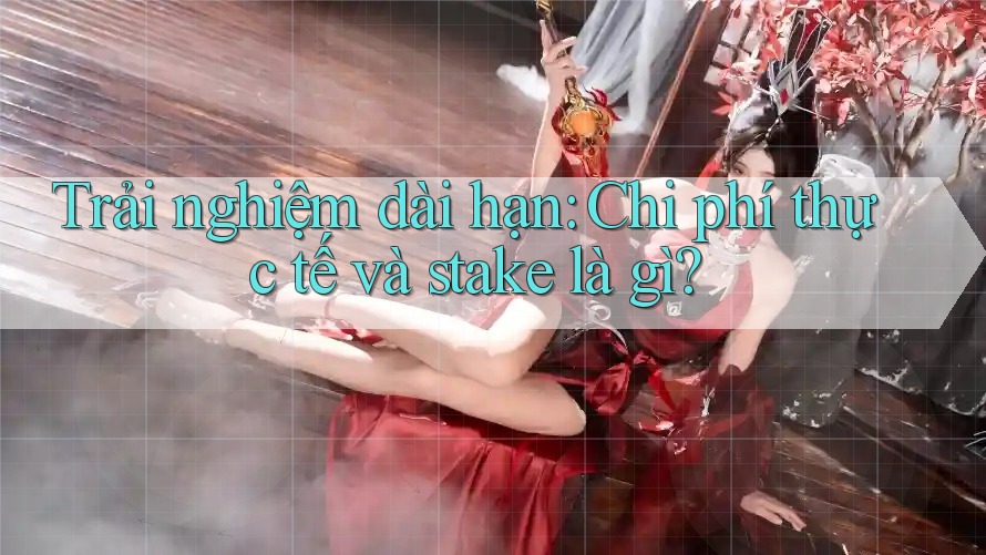 Trải nghiệm dài hạn: Chi phí thực tế và stake là gì? Trải nghiệm dài hạn: Chi phí thực tế và stake là gì?